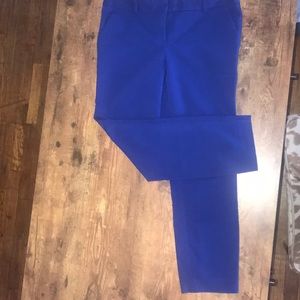 EXPRESS | Royal Blue Columnist Crop Pants
